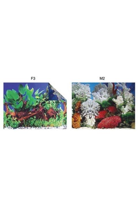 Kw Zone Pls.poster 30 Cm 15 Mt