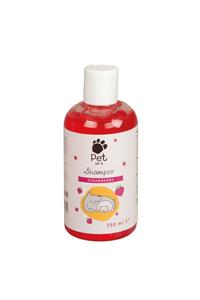 EURO GARDEN Polo Çilek Kokulu Şampuan 250 Ml