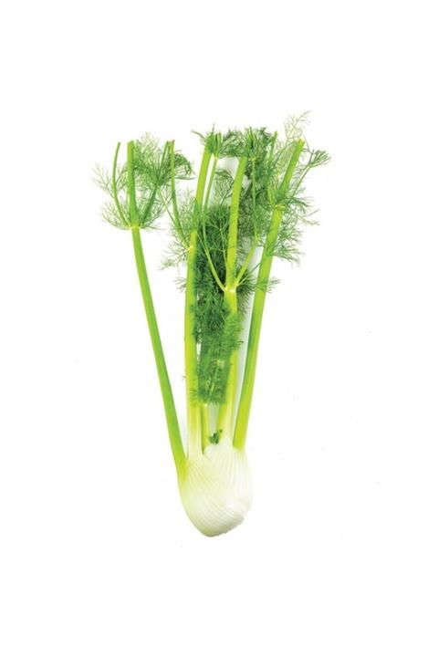 Sebze Meyve Dünyası Rezene (adet)