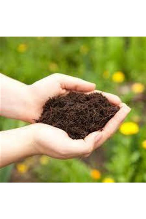 MEDİNE Akran Tarım Çim Kapak Toprağı 80 Lt