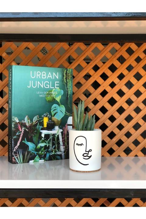 RoberTasarım Dekoratif Kaktüs Saksısı Ve Sukulent Saksısı El Yapımı Kss