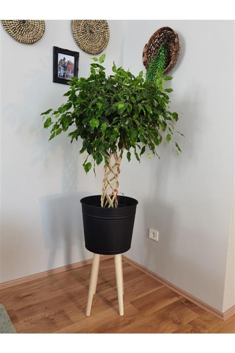 Balcony Flower Ayaklı Metal Saksılık