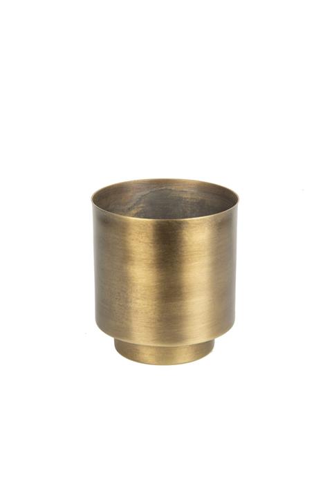 Marandmore Eskitme Sukulentlik