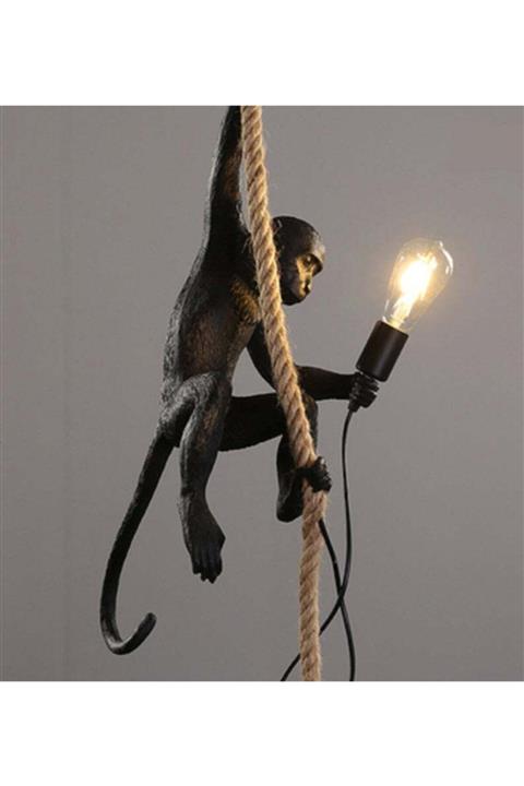 HEX Halatlı Siyah Maymun Avize & Abajur
