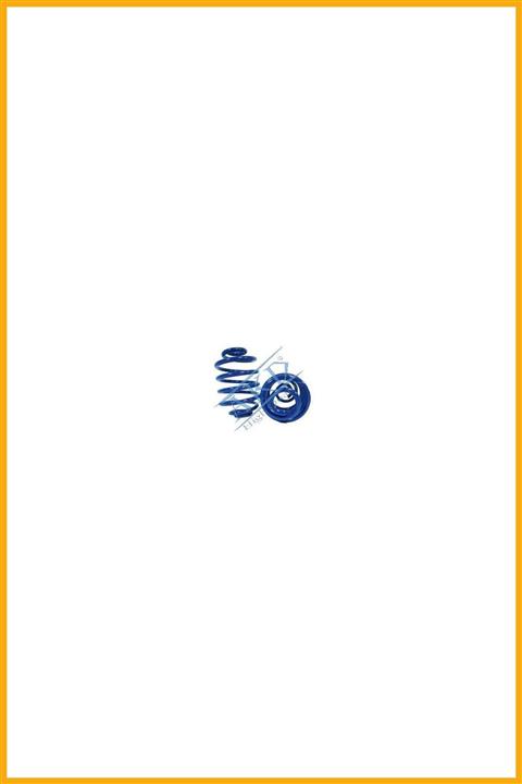 AAVDAN Helezon Yayı Arka Takım Vectra A