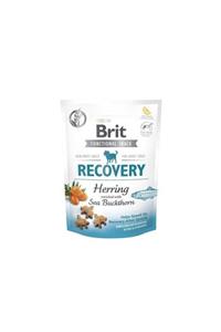 Brit Recovery Ringa Balıklı Kabaklı Köpek Ödül Maması 150 gram