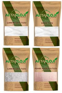 aktarloji Avantajlı Tuz Seti 1 Kg ( Çankırı Kaya Tuzu, Deniz Tuzu, Pembe Himalaya Tuzu, Iri Kaya Tuzu )