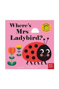 Nosy Crow Felt Flaps: Ladybird