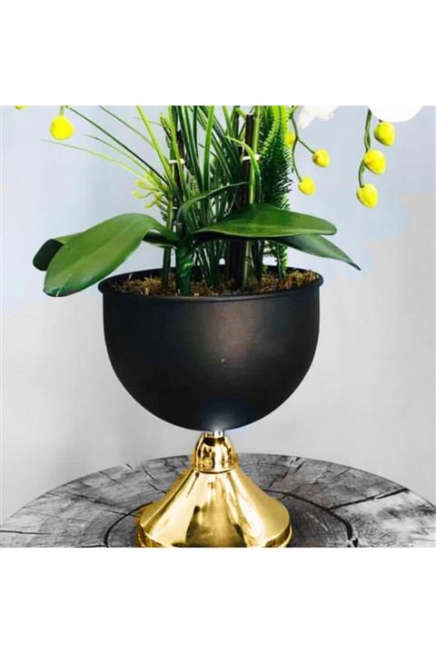 Hazella Home Siyah Gold Orkide Saksısı