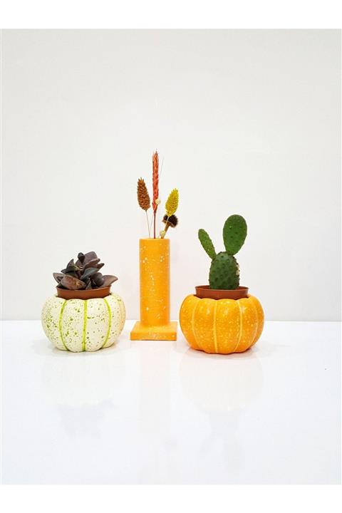 ÇAĞATÖLYE 2'li Kabak/balkabağı Saksı Ve Tütsülük Kuru Bitkilik