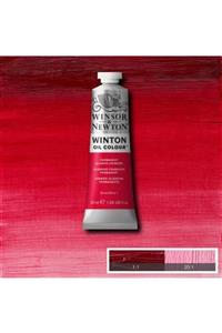 Winsor Newton Winton Yağlı Boya 37ml - Permanent Alizsrin Crimson