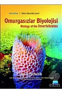 Nobel Akademik Yayıncılık Omurgasızlar Biyolojisi Biology Of The Invertebr