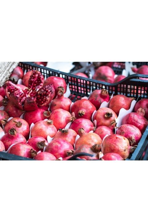 SARIGÖL ORGANİK Ev Yapımı Nar Ekşisi- 5 Kg