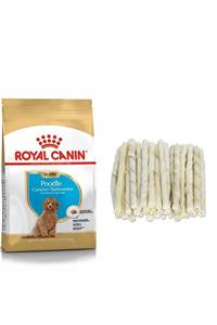 Royal Canin Poodle Puppy Köpek Maması 3 Kg + 10'lu Sütlü Burgu Kemik (original)