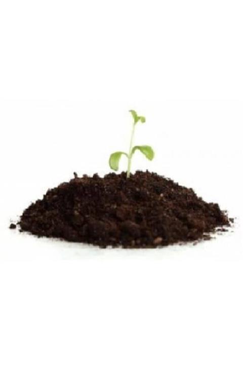 agrobit cat Esse 4 Lü 40 Lt Bitki, Fide, Çiçek Ve Saksı Toprağı 3 Lü Karışım