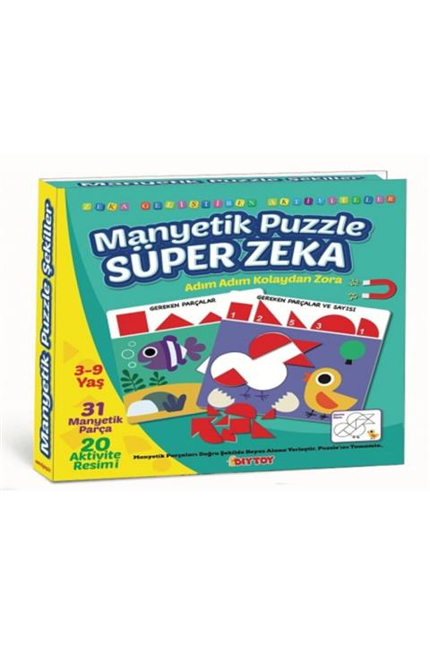 DIY Toys Manyetik Puzzle Süper Zeka