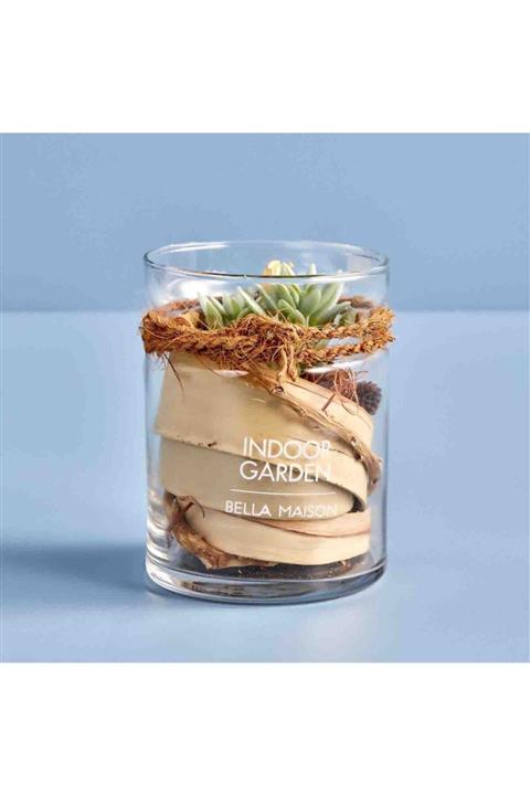 Bella Maison Sukulent Beyaz Küçük Aranjman (10x13 Cm)