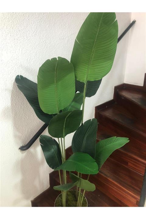 petunyayapayağaç Yapay Starliçe Ağacı 190cm Birebir Doğal Görünüm