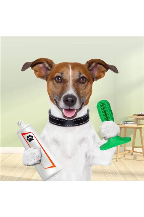 Özder İletişim Köpek Diş Fırçası Diş Temizleme Oyuncağı Büyük Boy