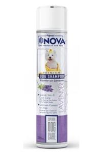 mydog Nova Lavanta Özlü Köpek Şampuanı 300ml