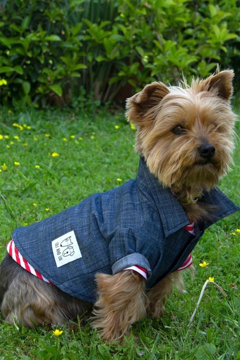 Oli and Lui Jean Köpek Gömleği