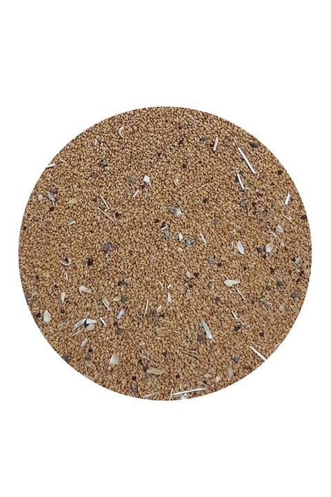 Petdoys Kuşlarınız Için Omega Deposu Camelina Sativa Tohumu - 250 Gram
