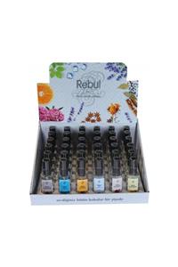 Rebul Kolonya 50 Ml Spreyli X 36'lı Set