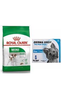 Royal Canin Mini Adult Köpek Maması 4 kg + Derma Drop 5x1 gr