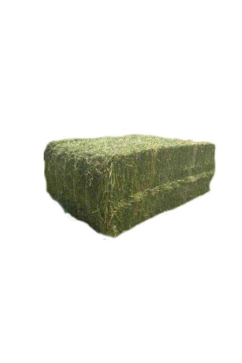 alişpet Kuru Yonca Kemirgen Otu 6 kg Kendi Üretimimiz Bol Yapraklı