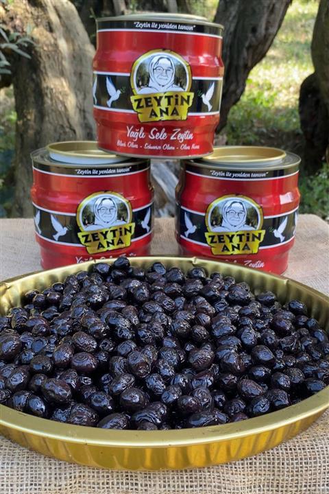 ZEYTİN ANA Gemlik Siyah Zeytini 3'lü Set - Toplam 6 Kg