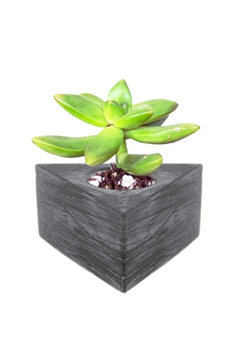 Hobizubi Beton Saksı Silikon Kalıp - 142