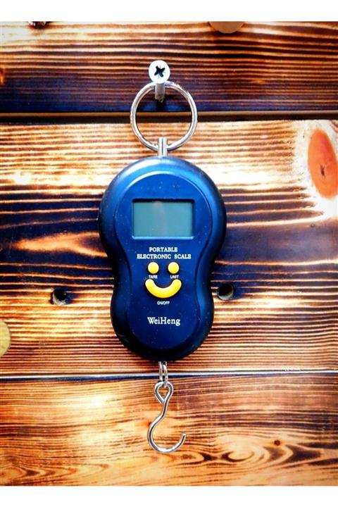 scale Elektronik El Kantarı