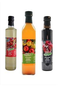 ekobioyasam Organik Elma Sirkesi 500 ml Alıç Sirkesi 500 ml Nar Ekşisi  250 ml