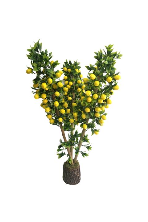 Hediye Vitrini Doğal Kütük Saksıda Bambu Ile Tanzim Edilmiş Yapay Limon Ağacı 80 Cm