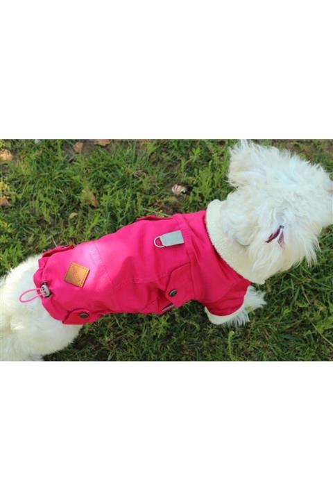 Pawstar Vişne Gabardin Ceket Kedi Köpek Yelek Kedi Köpek Kıyafeti
