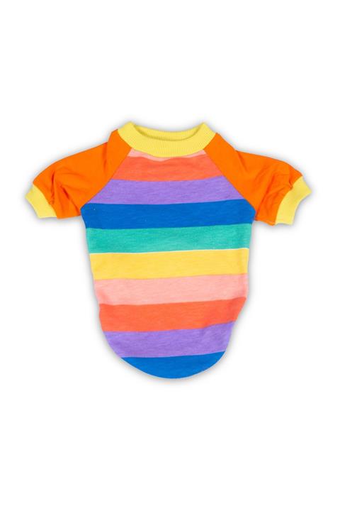göktürk pati evi Rainbow T-shirt