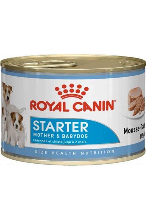 Royal Canin Starter Mousse Yavru Köpek Konservesi 195 Gr