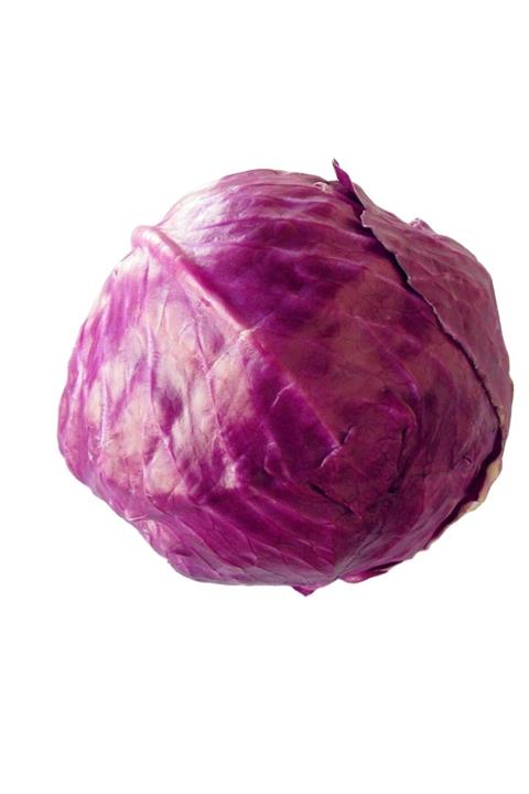 Maya Tropikal Organik Mor Lahana 1.1-1.2 Kg Arası