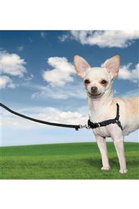 PetSafe Easy Walk Harness Siyah Köpek Göğüs Tasması Medium 51-71 Cm