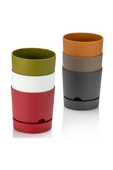 Poliwork Begonya 15 Cm Renkli Plastik Tabaklı Saksı 6 Adet