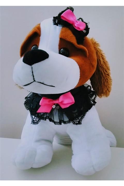 atelyu Kedi Köpek Kıyafetleri Boyun Süsü Tokalı Set