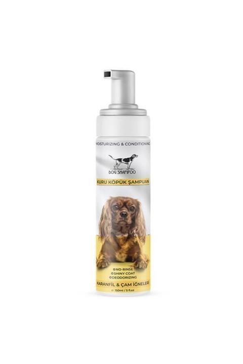 Catidea Cc3-y Köpek Şamp.susuz Köpüren Karanfil-çam Iğneleri 150ml