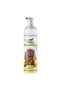 Catidea Cc3-y Köpek Şamp.susuz Köpüren Karanfil-çam Iğneleri 150ml