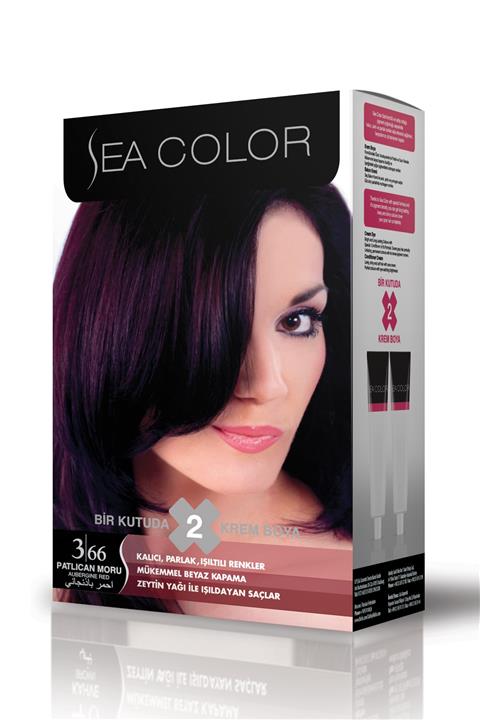 Sea Color 3.66 Patlıcan Moru Set Boya