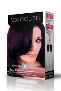 Sea Color 3.66 Patlıcan Moru Set Boya