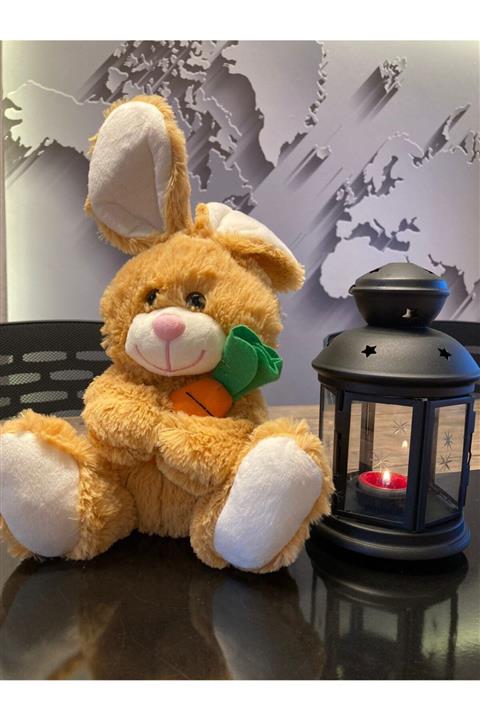 SELAY TOYS Minik Havuçlu Turuncu Tavşan Peluş Oyuncak 28cm