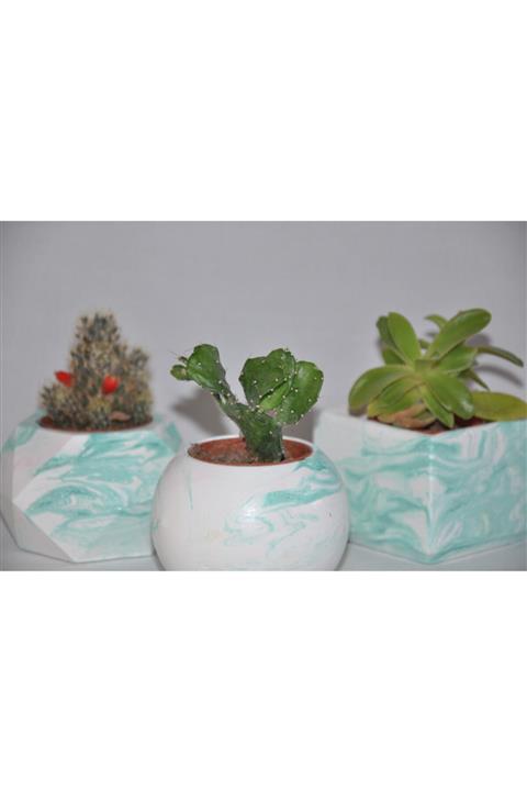 Botalino Kopya Beton Saksı Kaktüs Seti