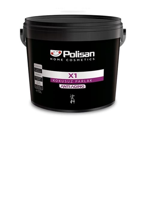 Polisan X1 Kokusuz Parlak (anti-aging) Boya 2.5 Lt 4339 Yeşil Rüya Ci-7321
