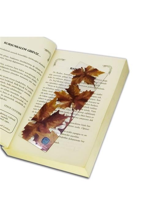 İstisna Şeffaf Desenli Kitap Ayracı Ürün 17