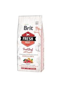 Brit Care Brit Fresh Beef Sığır Etli Ve Bal Kabaklı Yavru Köpek Maması 12 Kg